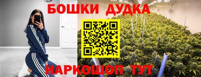 mdpv Лесосибирск